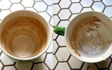 咖啡渍怎么去除(去除咖啡渍最好的方法)