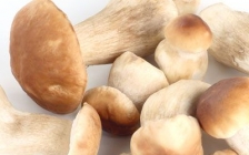 蘑菇是不是发物(蘑菇是发物吗皮肤病可以吃吗)