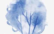 冬天的树(冬天的树)