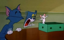 汤姆猫和杰瑞鼠(汤姆猫杰瑞鼠图片)
