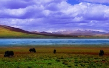 西藏四大圣湖(西藏神山圣湖)