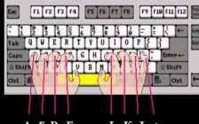 键盘指法图(键盘指法图片)