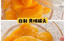 黄桃罐头怎么做(罐头黄桃做法)