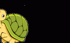 枫叶龟(枫叶龟)
