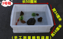 红腿陆龟(陆龟红腿是几级保护动物)