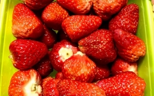 大棚立体草莓种植槽(大棚草莓立体种植槽架成本)