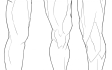 腿部骨头结构图(骨骼图腿部)
