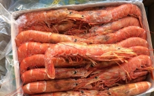 阿根廷红虾(阿根廷红虾可以生吃吗)