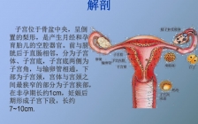 腹膜外剖宫产(剖宫产腹膜外腹膜内术后区别)