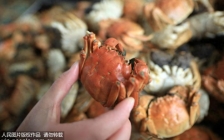 吃螃蟹的十大禁忌(螃蟹忌什么不能吃)