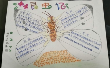 昆虫记摘抄(昆虫摘抄300字)