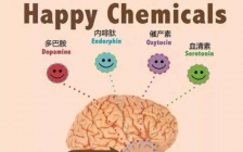 多巴胺是什么(多巴胺是快乐的意思吗)